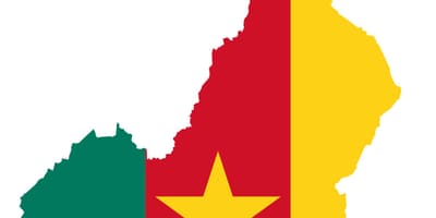 Bản đồ cứu trợ cameroo